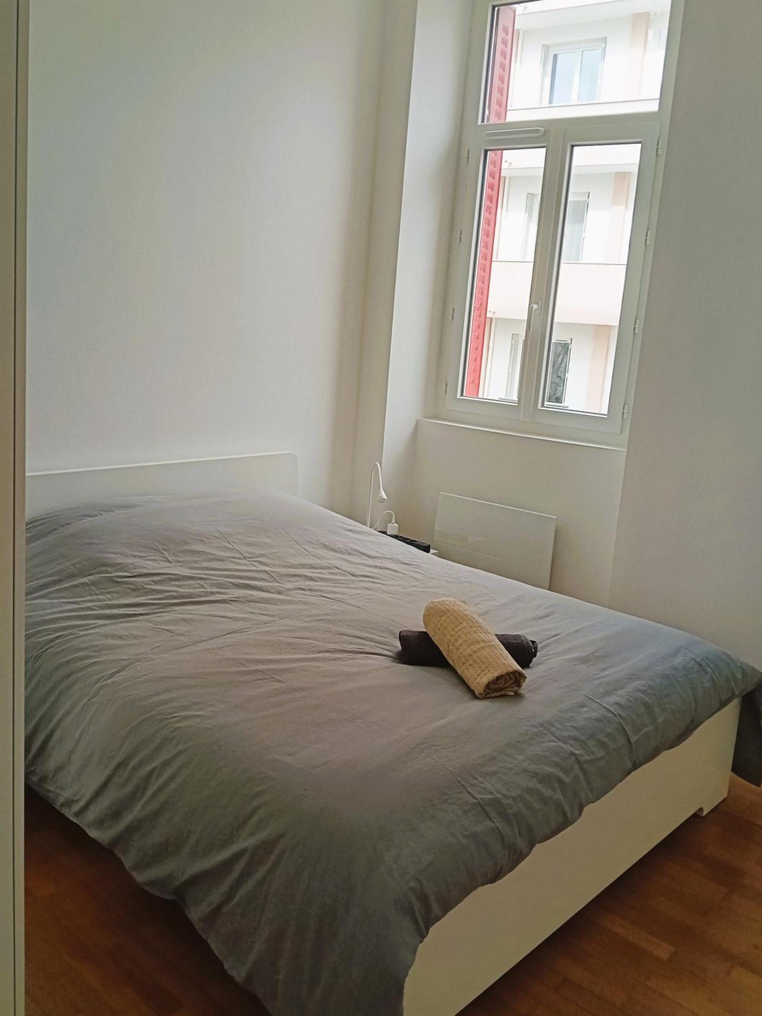 102 - Appart Renove Avec Grand Salon Et 1 Chambre - Tram Et Clinique Mutualiste A 1 Min Grenoble Dış mekan fotoğraf